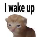 Wake Emote