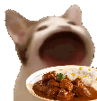 Abopdo emote