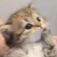 Screenshot20260413203855 emote