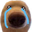 a_doggycries emote