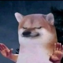 holupdog emote