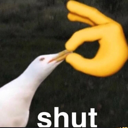 cat0254KEKshut emote