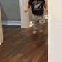 z1 emote