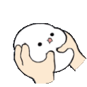 cute82 emote