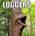 loggers emote