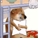 dogcry emote