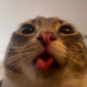 40310billu emote