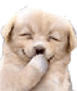 tehe emote