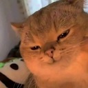 emoji_29 Emote