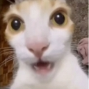 wtf emote