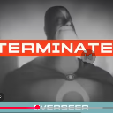 terminatedeverseer Emote