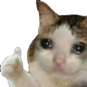 cat emote
