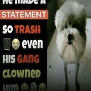 crazystatement emote