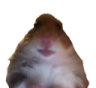 hampter_wot Emote