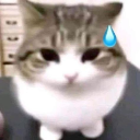 84993um1 Emote