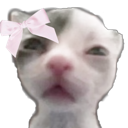 0102 emote