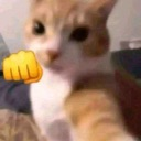 howhat emote