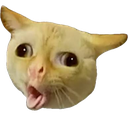 kittycough Emote
