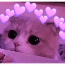 cat_cute emote