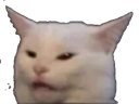 cat_mad Emote