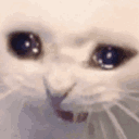 FakeNitroEmoji Emote
