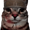 soldjacat emote