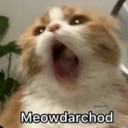emoji_80 Emote