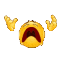 nooooo emote