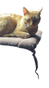 milky Emote