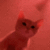 B_kittyvibe emote