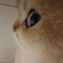 emoji_48 Emote