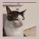 emoji_19 emote