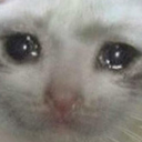 cats_funny emote