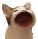 retrasados emote