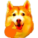 HuskyThink emote