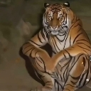emoji_4 emote