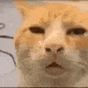 Huhh_smoother emote