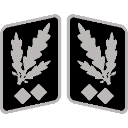 SSObergruppenfhrer_collar_rank Emote