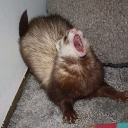 emoji_5 emote