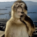 monkeythinking Emote
