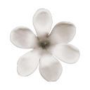 006_flower1 Emote
