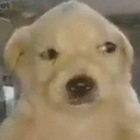 euem emote