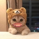 emoji_42 Emote