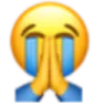 cryyy emote
