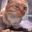 emoji_23 Emote