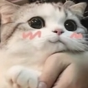 Xieron_stolen_emoji_1779303120 emote