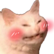 catblush emote