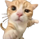 emoji_6 emote