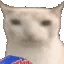 NaniasEntertainment emote