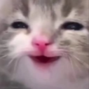 smile emote